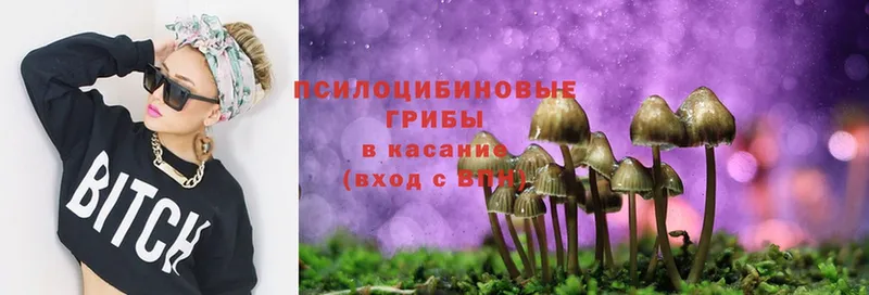 закладка  Сертолово  Галлюциногенные грибы Magic Shrooms 